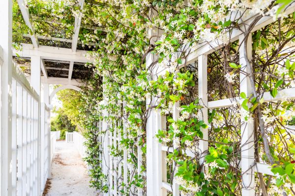 Cost of Trellis Repair in New Orleans